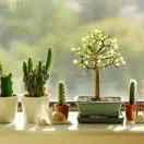 先投上河序-杨英