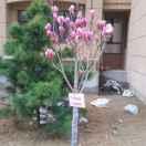 永不过期的朋友