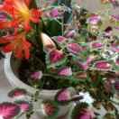 太原到介休家具专运，随心。