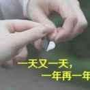 姐也是限量版