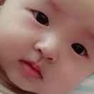 李鸭梨