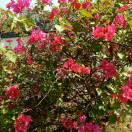 找个真爱永不后悔