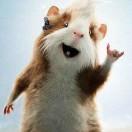 芥末味的冰淇淋