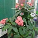 鑫优选旧货市场