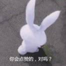 ꧁꫞꯭保꯭罗꯭꫞꧂