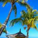 春天来了，寒冬己过