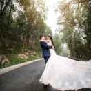    新   