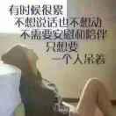 清风飒飒