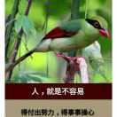 梅丽美丽