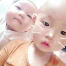 计正会
