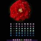 花好月圆（每天下午四点十分开播）