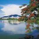 菊花-开心每一天