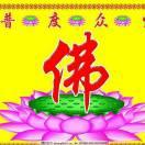 愿做菩萨那朵莲