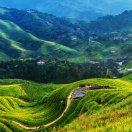 吴庆华