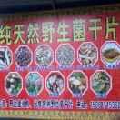 松茸三哥