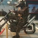 发酵羊粪厂家直销