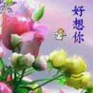 幸運星