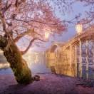 五佳暖阳手工面食馆，谁懂我心