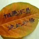 止语