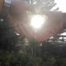 张鹏飞（鹏飞装修设计）