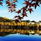 生活需要笑着面对