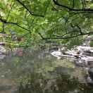 泉顺驾校于教练