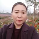 为了一个家