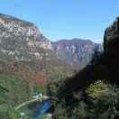 美丽的大自然是森林