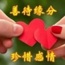 手心的温柔