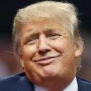 言身寸  木XX木大手