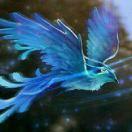 只谈感受不剧透