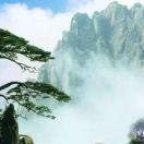 兰琪爱美荟美容(中和街店)