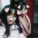 小菊