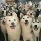 浮華一世終成空