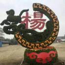 永不老