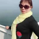 彩云伴海鸥