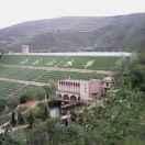 开心@俺是农民@