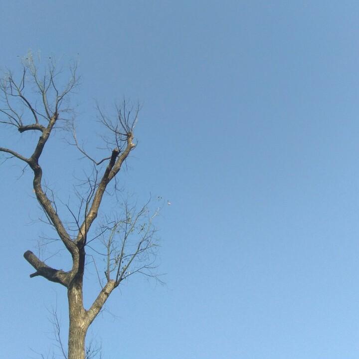 书书