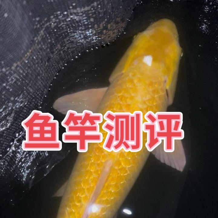 科技钓鱼