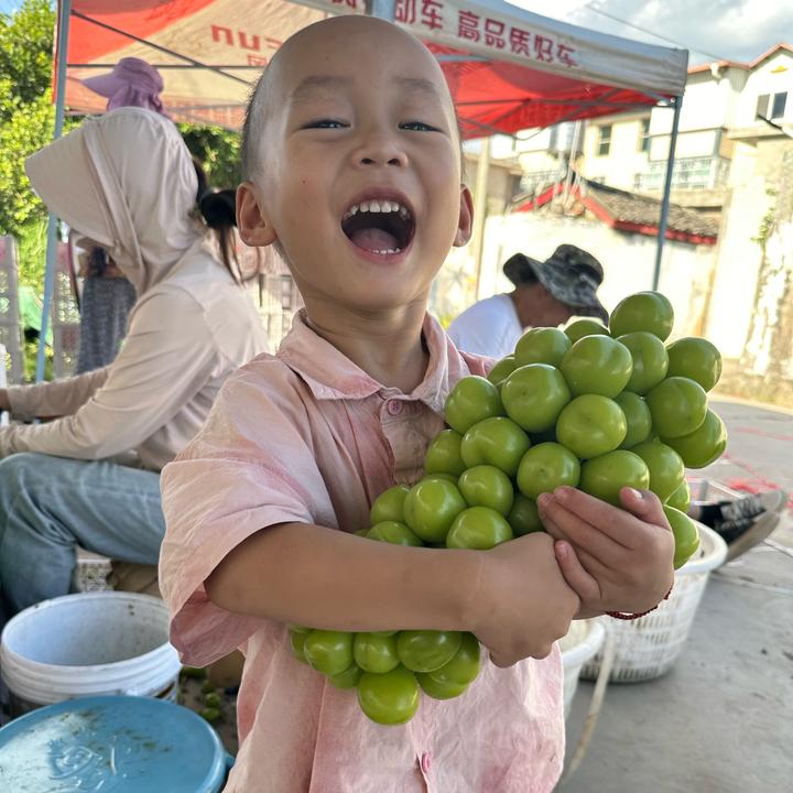 葡萄不淘