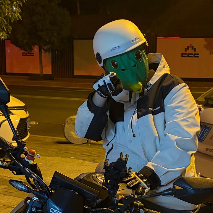 假老练