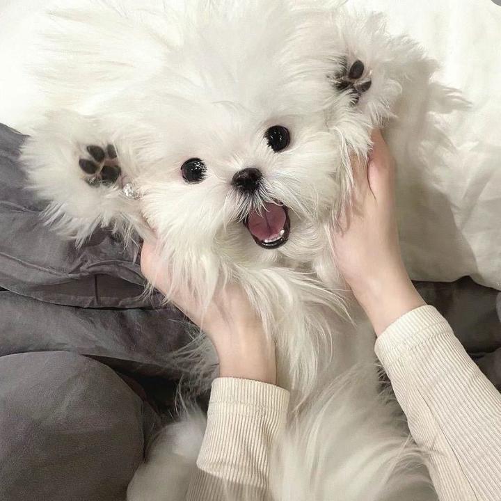—