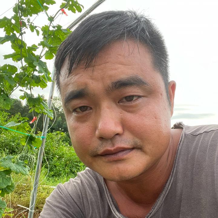 阿云的田园生活-粉丝群1 群聊头像