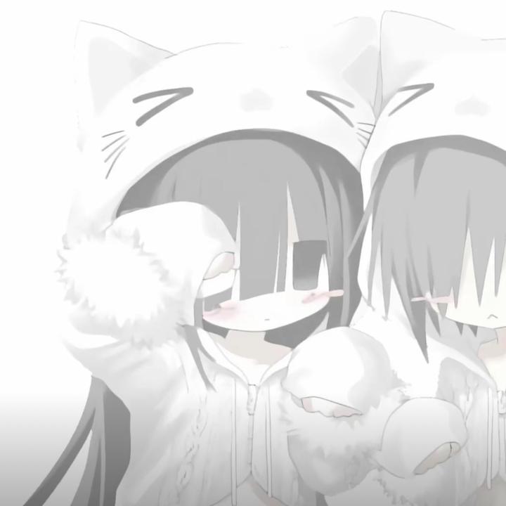 信信不是杏