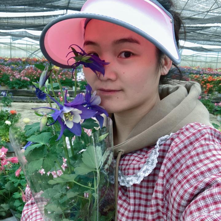 花农小吴