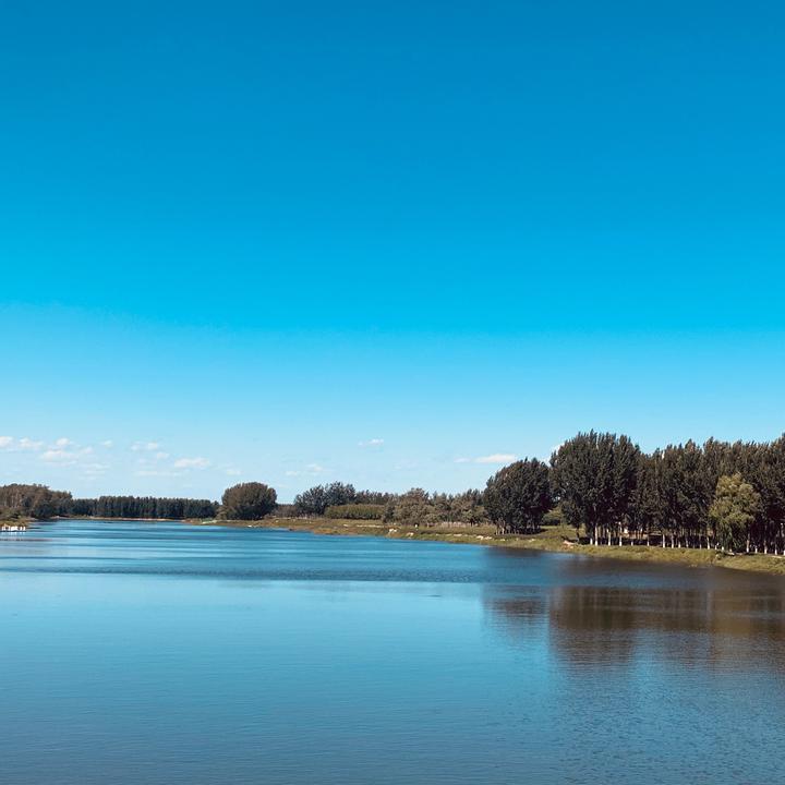 香河潮白右堤 50老头乐 鲫鱼鲤鱼坑