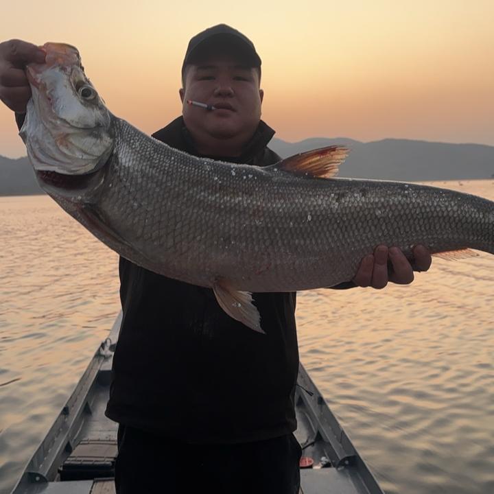 八两筏钓直播号