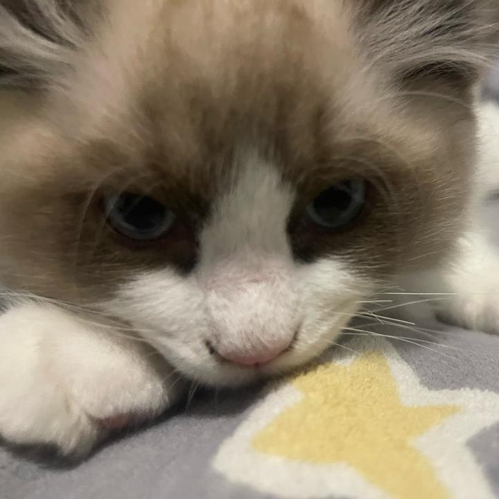 严重后遗症