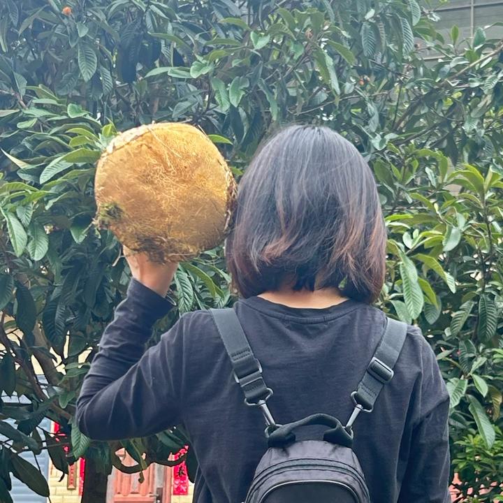 贵阳捡菌子（记录篇）