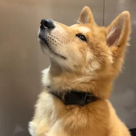 修够
